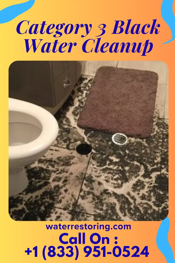 Category 3 Black Water Cleanup in Hobble Creek, UT