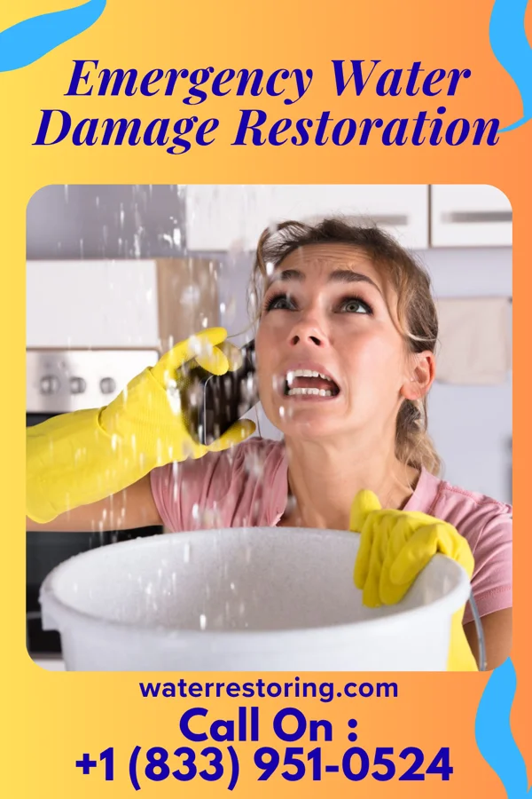 Emergency Water Damage Restoration in Hobble Creek, UT