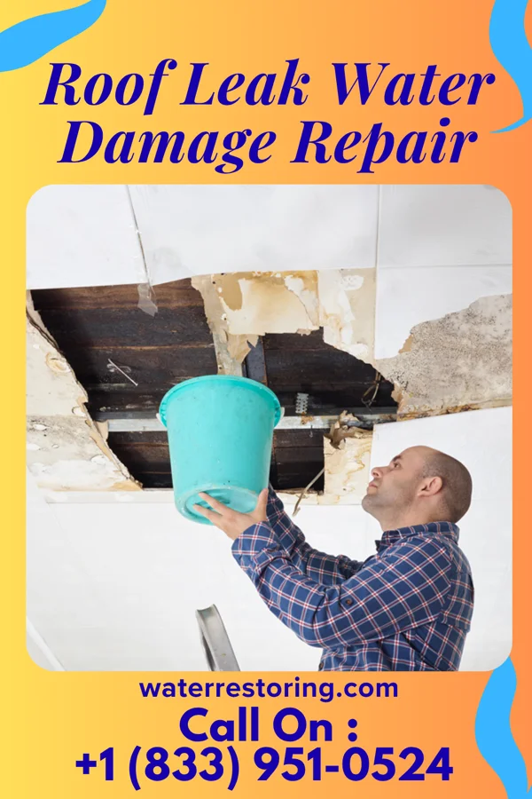 Roof Leak Water Damage Repair in Hobble Creek, UT