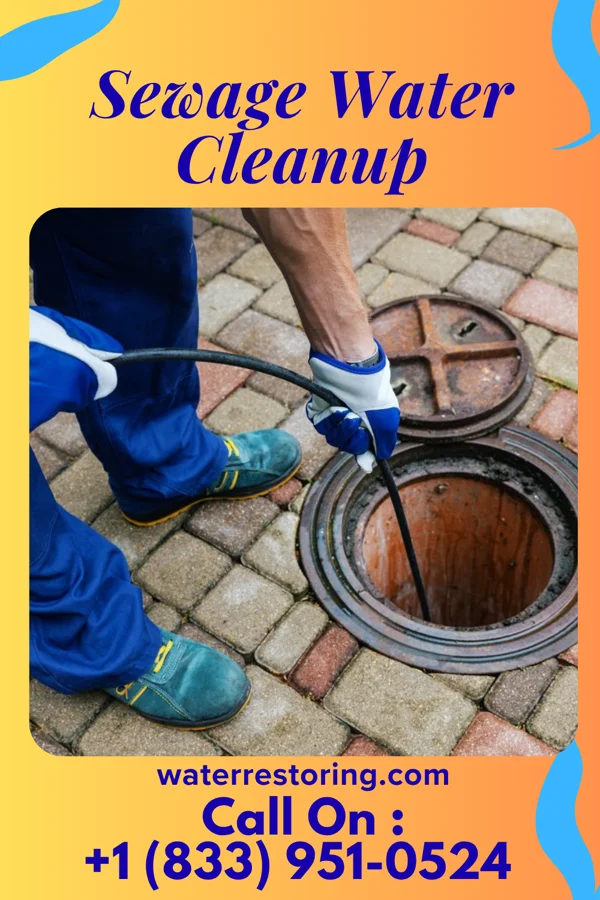 Sewage Water Cleanup in Hobble Creek, UT